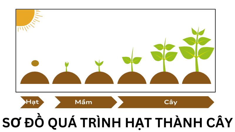 Soạn bài Lời của cây lớp 7 ngắn nhất, trả lời đọc hiểu