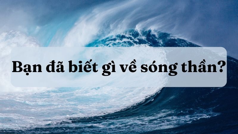 Bạn đã biết gì về sóng thần – Tác phẩm, Soạn bài