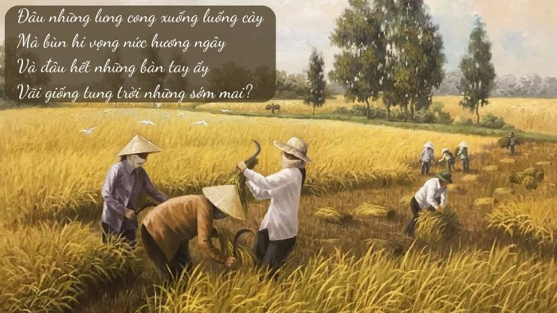 Soạn bài Nhớ Đồng (Tố Hữu) lớp 8, lớp 11 ngắn gọn