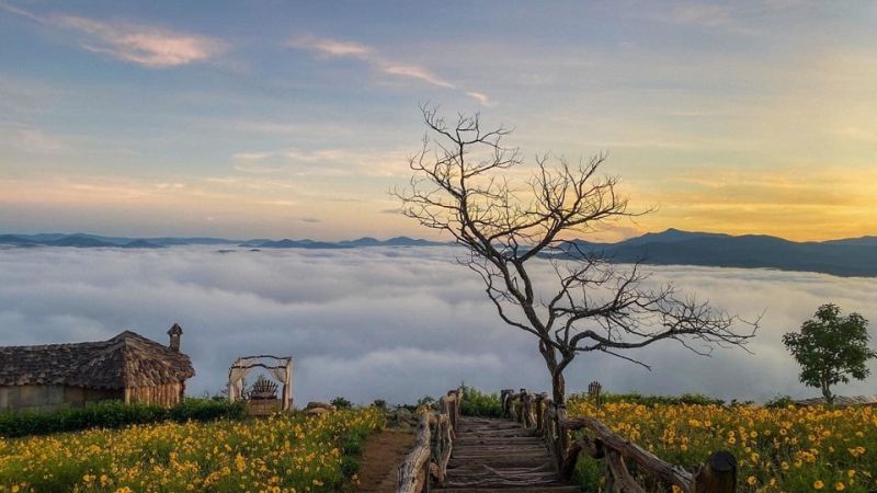 Thiên nhiên và hồn người lúc sang thu (Vũ Nho) Văn 8 – Chân trời sáng tạo