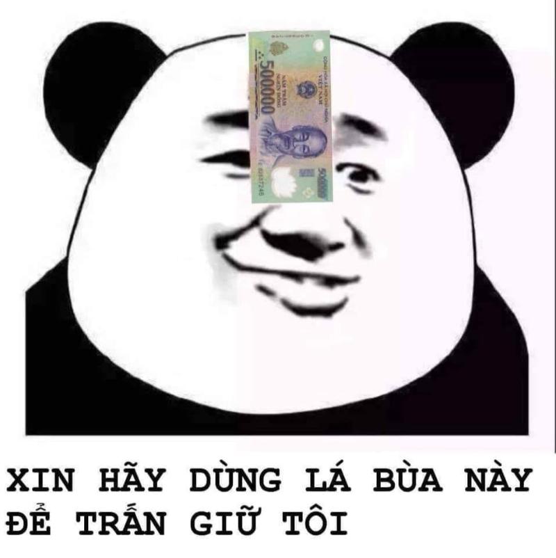 ảnh chế meme gấu trúc