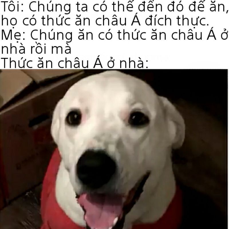 ảnh dảk meme cực tối