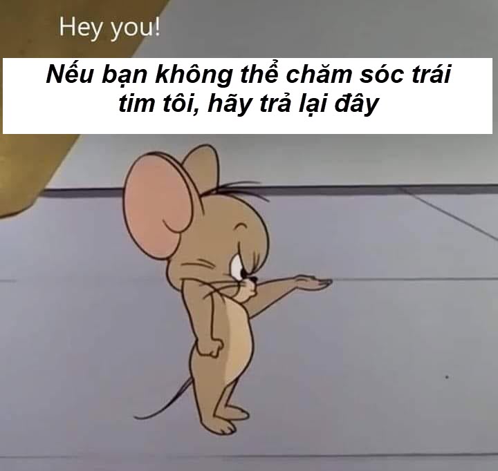 ảnh meme chuột jerry