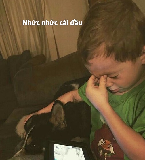 Ảnh meme ngồi bất lực