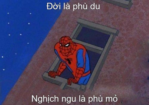 ảnh meme nhện cute