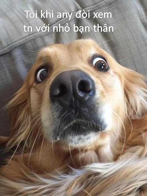 Bất ngờ không meme