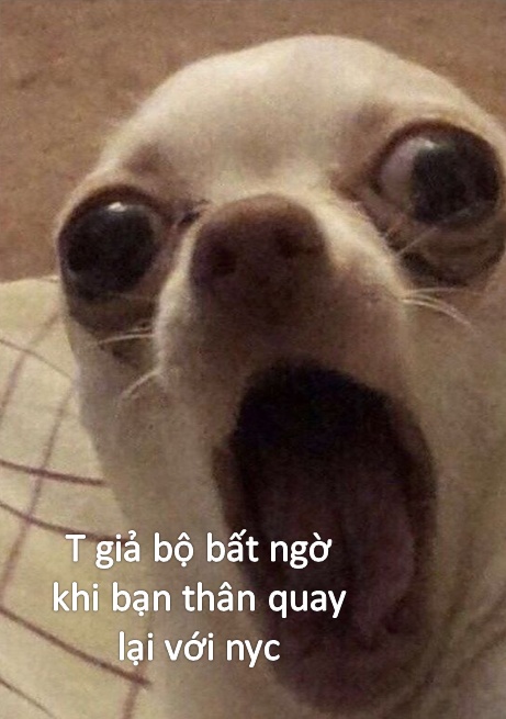 Bất ngờ meme hài