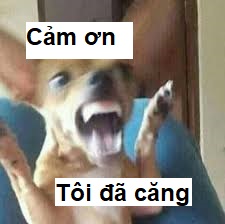 Cảm ơn tôi đã căng