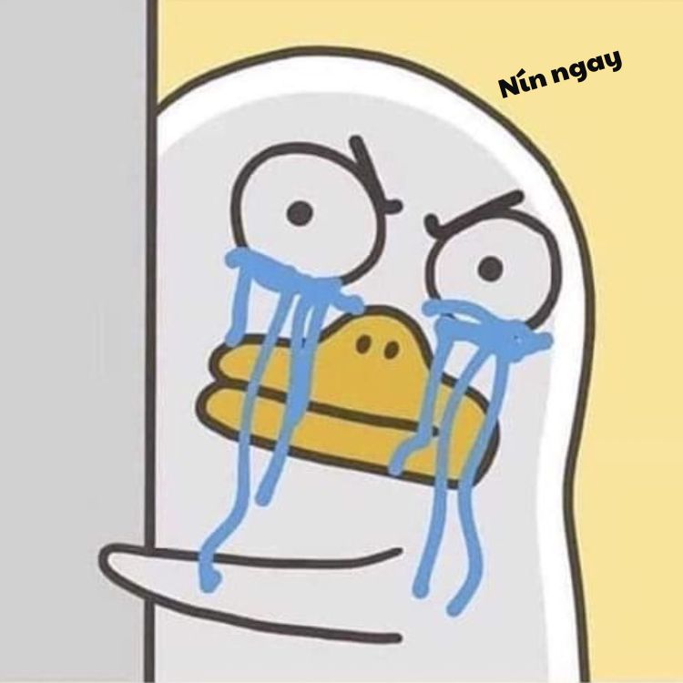 Meme nín ngay cute hài hước