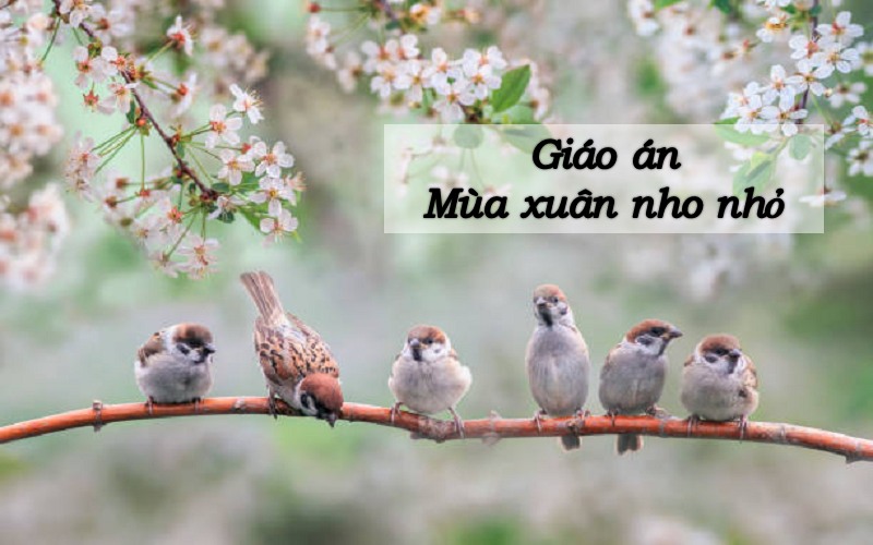 Giáo án mùa xuân nho nhỏ