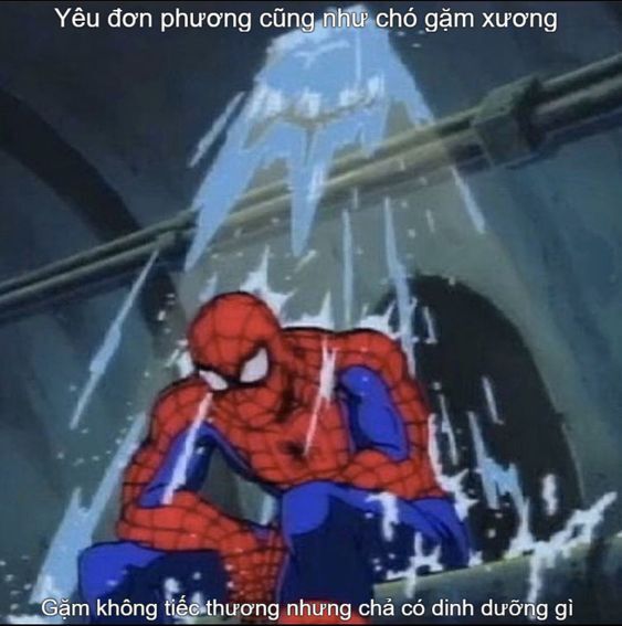 hài hước meme spiderman