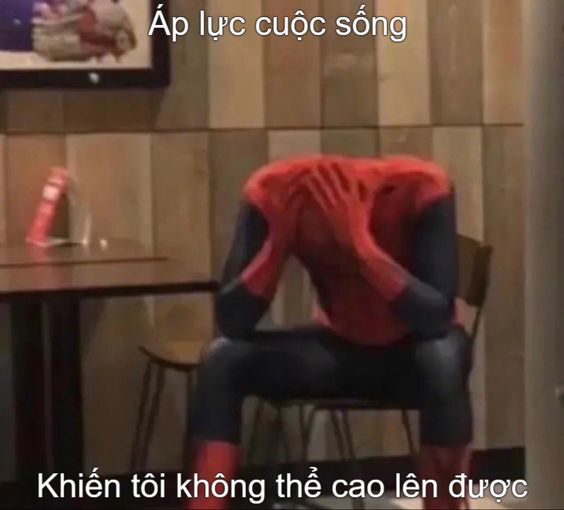 hài hước spiderman meme