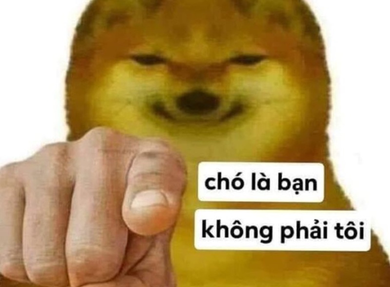 meme chó cười hài