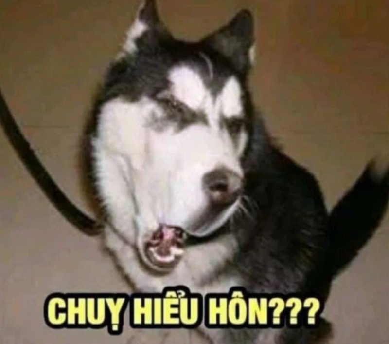 mặt chó meme