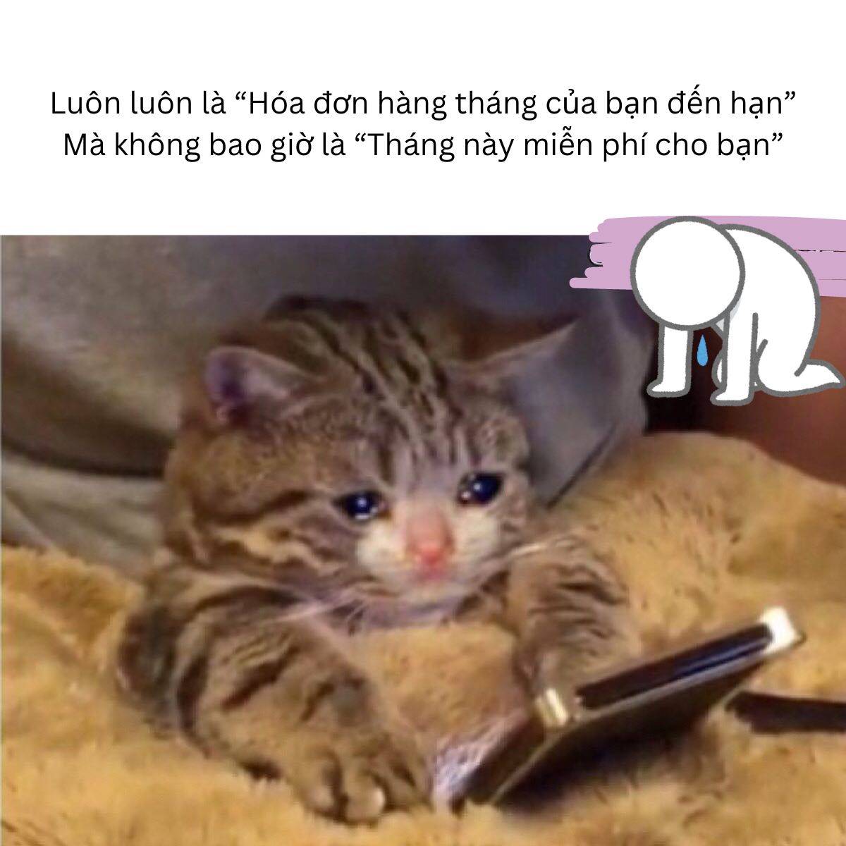 Cơn đau đầu hàng tháng