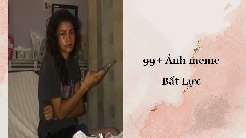 99+ Ảnh meme bất lực đến phát khóc cực sáng tạo