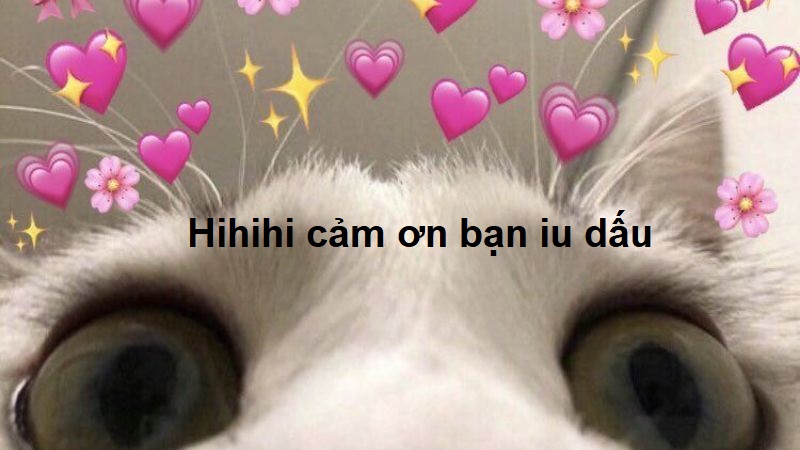 Meme cảm ơn bạn iu dấu