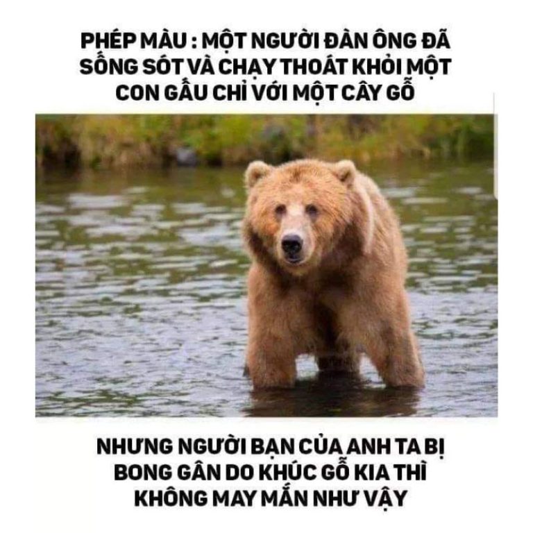 999 Dark Meme siêu tối - Ảnh Dark Face Việt Nam