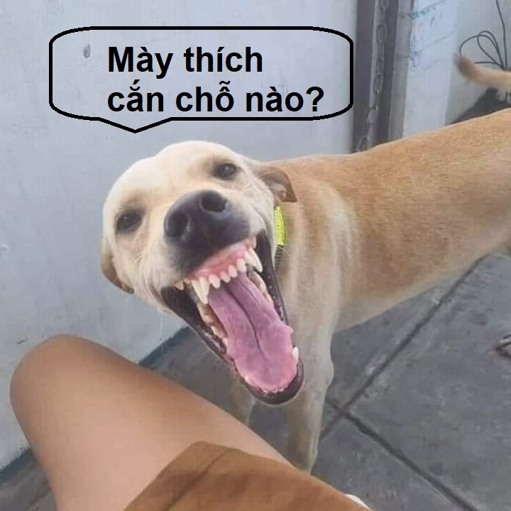 Nụ cười meme