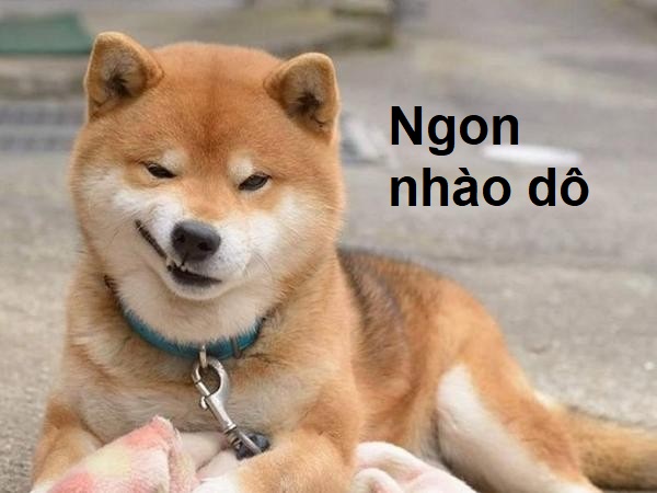 Meme cười nham hiểm