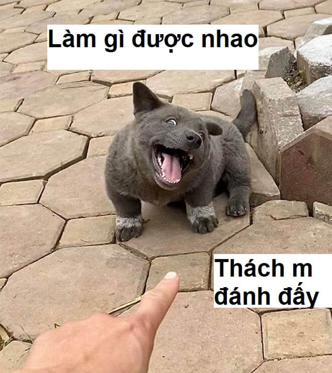 Meme cười mỉm