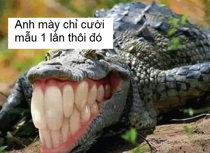 111+ Ảnh meme cười đểu, nham hiểm, mặt cười gượng