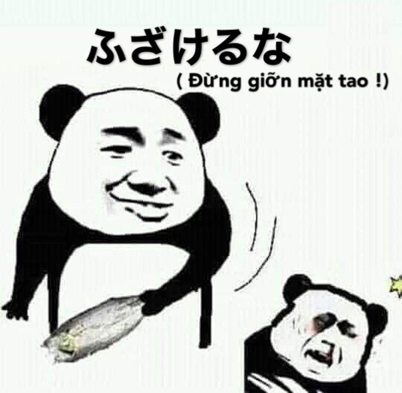 meme gấu trúc đừng giỡn mặt