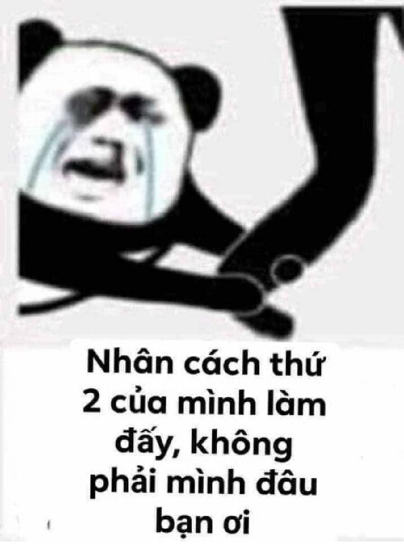 meme gấu trúc nhân cách thứ hai