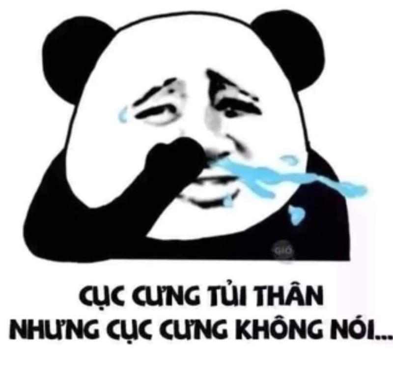 meme gấu trúc tủi thân