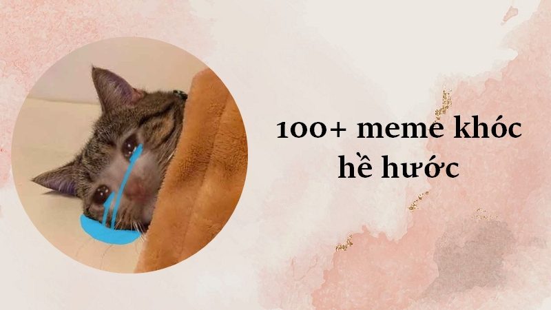 Tổng hợp 100 ảnh chế meme khóc siêu hài bựa