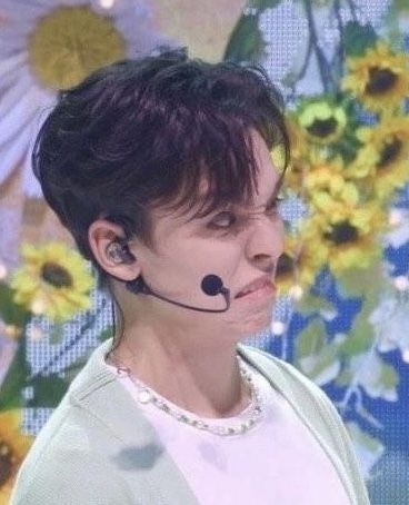 meme KPOP Vernon chê