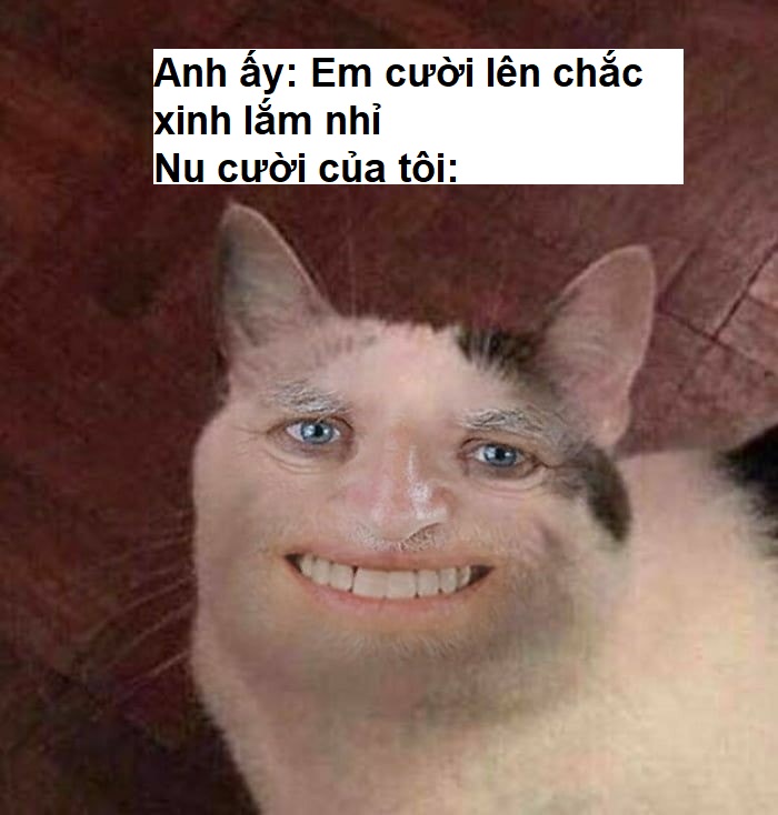 Meme nụ cười tỏa nắng