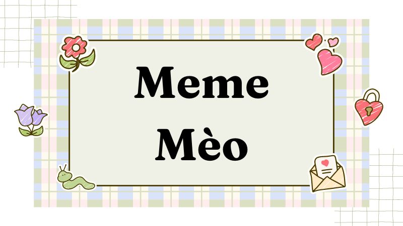 Trọn bộ ảnh Meme Mèo hài hước – Cat Meme bựa nhất (hình gốc)