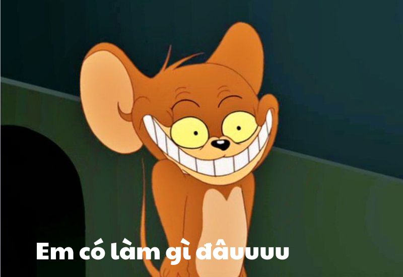 meme mèo tom chuột jerry hài hước