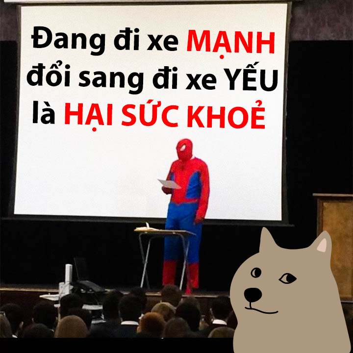 meme người nhện