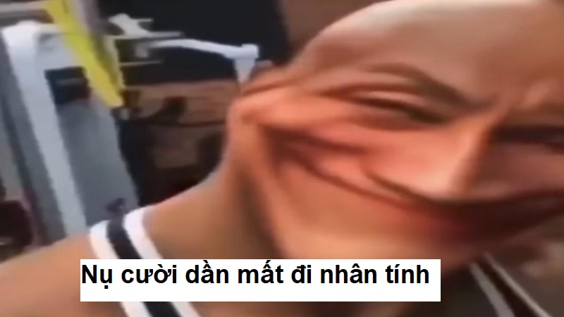 Meme mèo cười cute