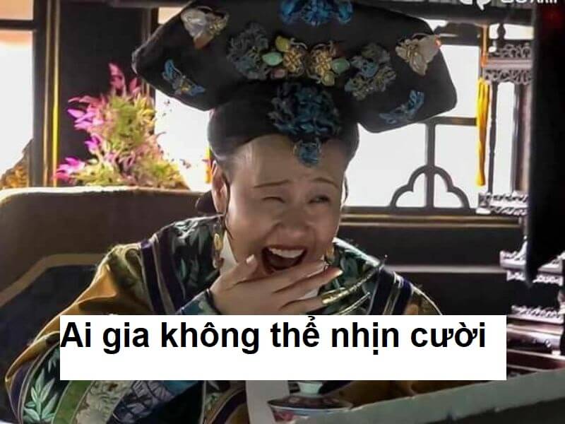 Meme cười ỉa