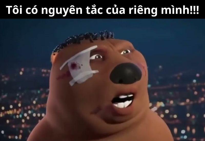 meme trung hải ly hot nhất