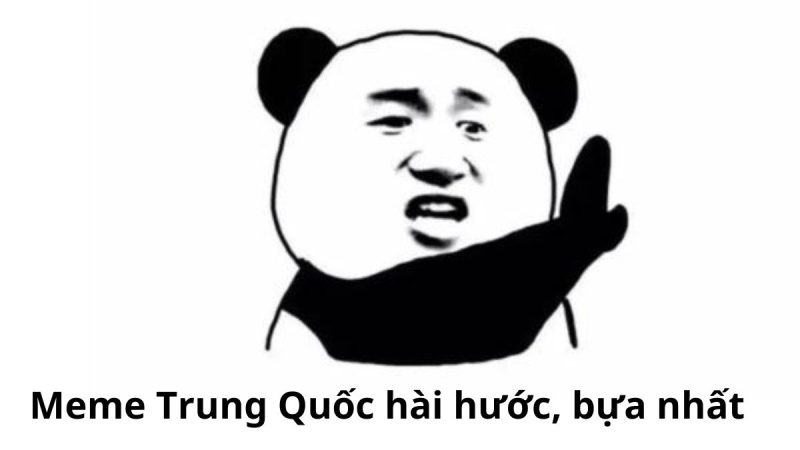 Meme gấu Trung Quốc và hải ly ấn tượng siêu hài hước