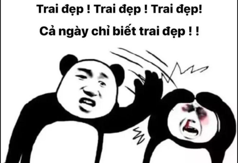 meme trung quốc gấu trúc trai đẹp