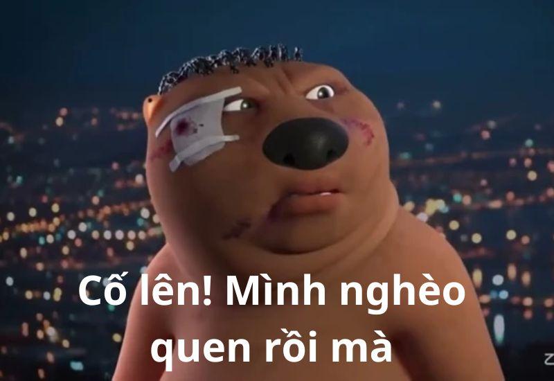 meme trung quốc hải ly cố lên