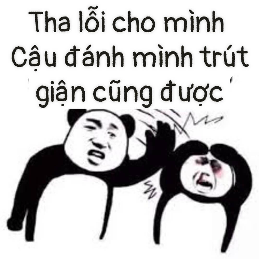 Meme xin lỗi bạn đánh mình đi