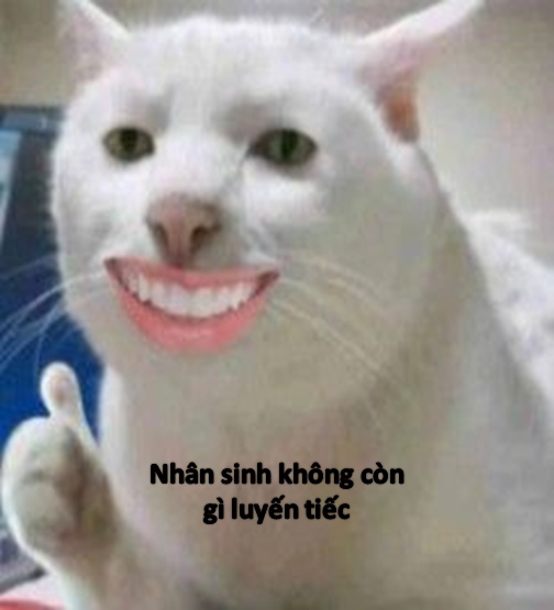 Mèo bất lực meme