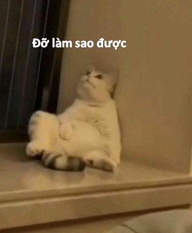 Mèo ngồi bất lực meme