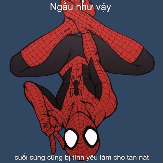 nhện meme