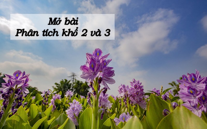 Phân tích khổ 2 3