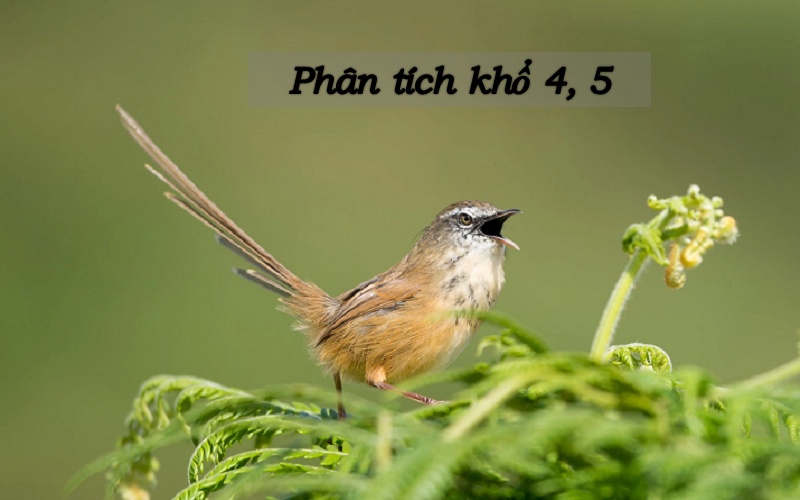 Phân tích khổ 4 5 bài mùa xuân nho nhỏ