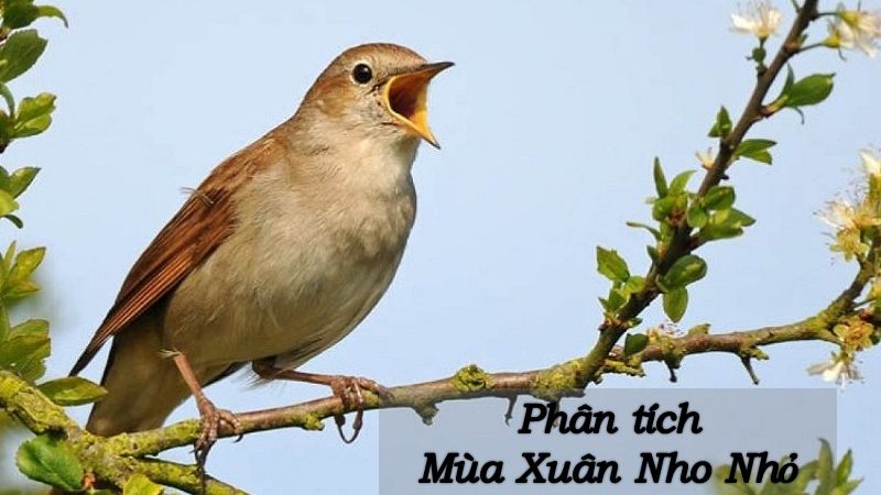 Lập dàn ý phân tích bài Mùa xuân nho nhỏ (từng khổ thơ) hay nhất