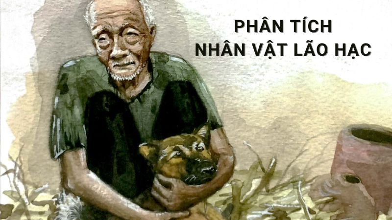 7+ Mẫu Phân tích nhân vật Lão Hạc và ý nghĩa cái chết của Lão Hạc