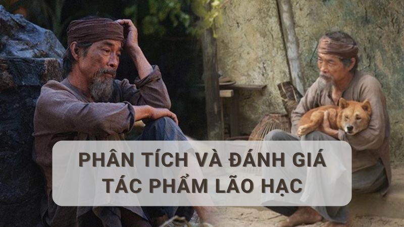 phân tích truyện ngắn lão hạc